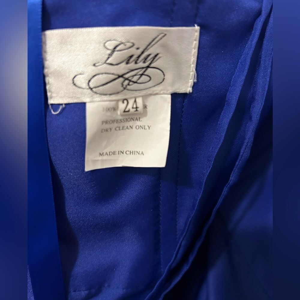 Lily formal dress size 24w - Picture 6 of 10